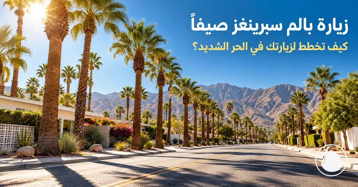 أشعة شمس صيفية ساطعة فوق شارع تصطف على جانبيه أشجار النخيل في بالم سبرينغز