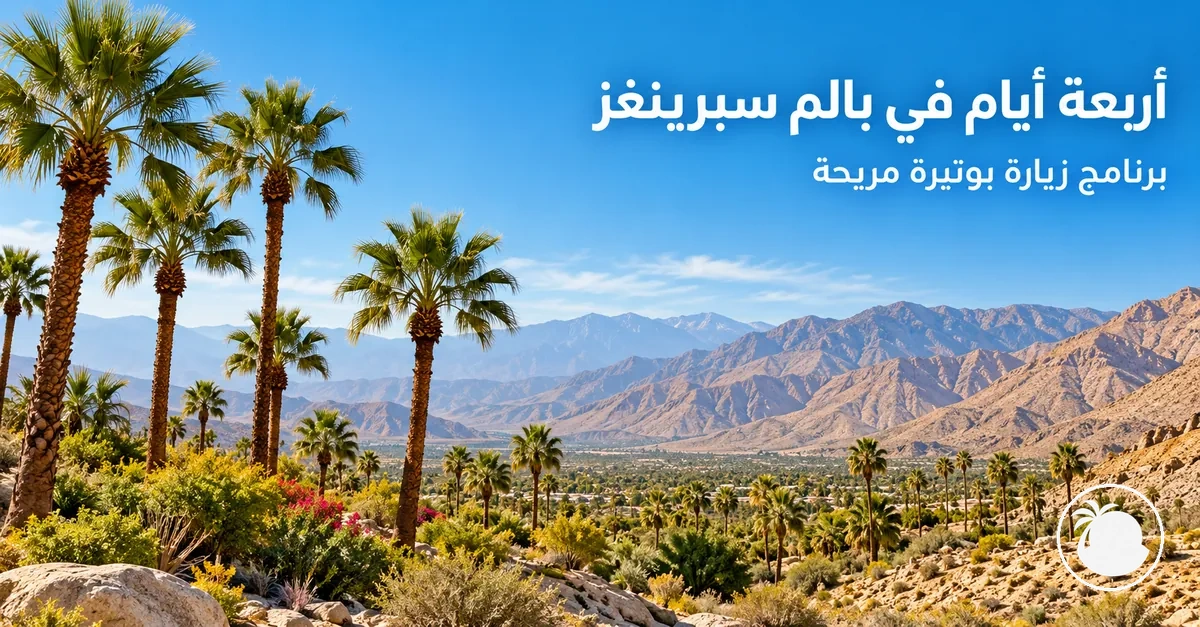 أشجار نخيل ومناظر صحراوية في محيط بالم سبرينغز