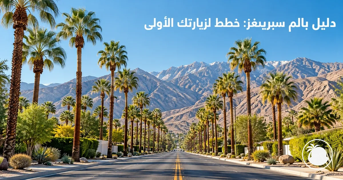 شارع تصطف على جانبيه أشجار النخيل في بالم سبرينغز، وتظهر الجبال في الخلفية
