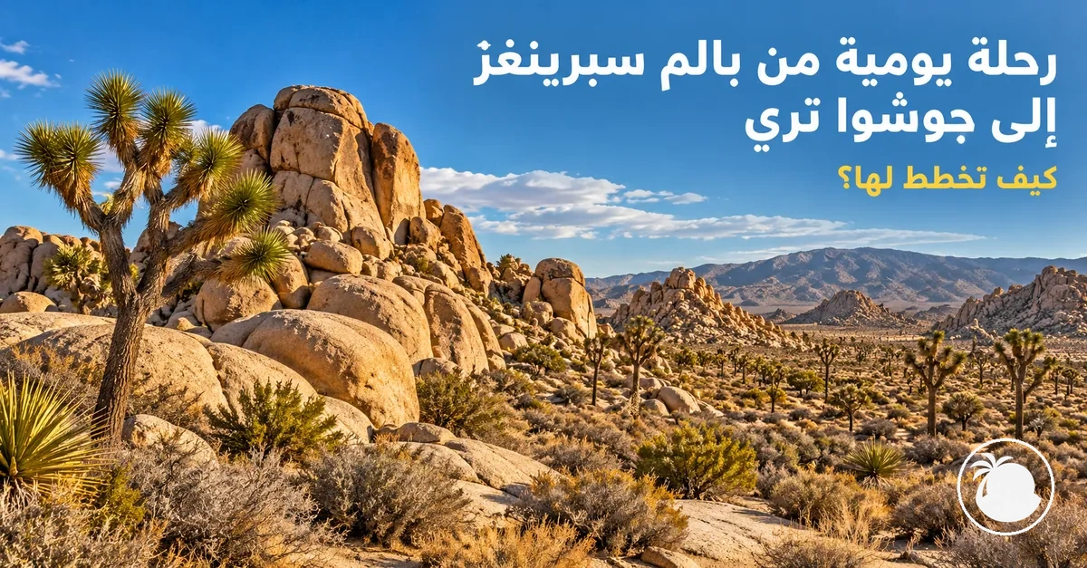 تشكيلات صخرية ونباتات صحراوية في متنزه جوشوا تري الوطني