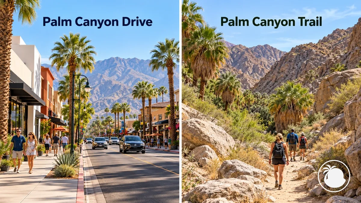 Vergleich zwischen dem Palm Canyon Drive in der Innenstadt von Palm Springs und der separaten Wanderumgebung des Palm Canyon Trail.