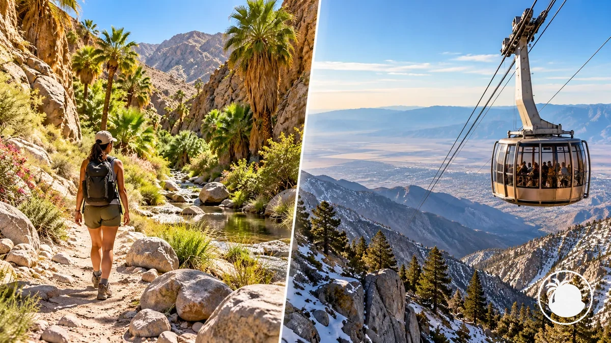 Sentier de randonnée dans un canyon désertique et le Palm Springs Aerial Tramway comme activités de plein air alternatives