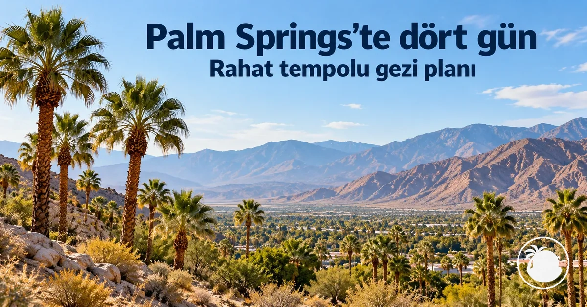Palm Springs çevresindeki palmiye ağaçları ve çöl manzarası
